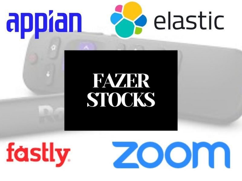 what are FAZER stocks